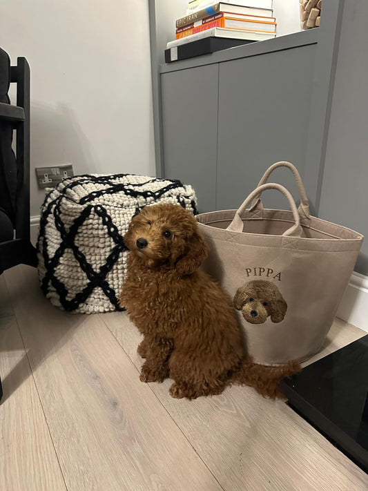 Furry Friend Toy Basket