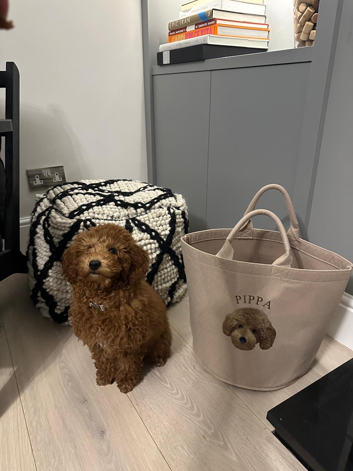 Furry Friend Toy Basket